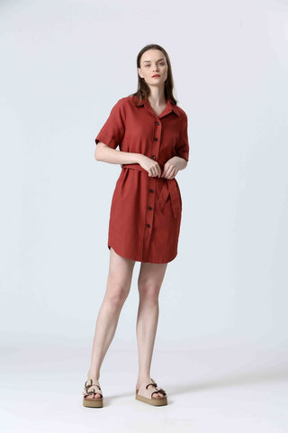 Feeling Lucky Shirt Dress