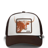 Over The Line Longhorn