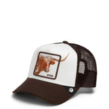Over The Line Longhorn